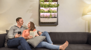 Read more about the article Herbitat Smart Hydroponic Indoor Garden lets you grow your own produce easily at home