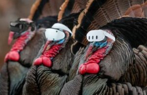 Read more about the article The Best VR Games to Share with Your Family This Thanksgiving
<span class="bsf-rt-reading-time"><span class="bsf-rt-display-label" prefix=""></span> <span class="bsf-rt-display-time" reading_time="7"></span> <span class="bsf-rt-display-postfix" postfix="min read"></span></span><!-- .bsf-rt-reading-time -->