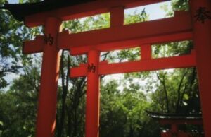 Read more about the article ‘Lushfoil Photography Sim’ Confirms VR Support Coming “Soon”